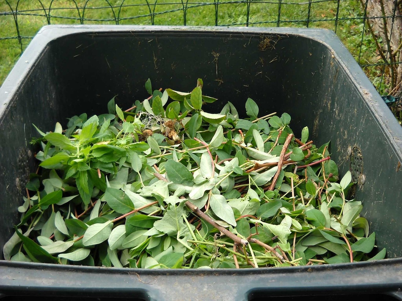 Waste Trade Supporting Sustainable Resource Management for Environmental Improvement